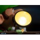 Figurine Luigi's Mansion 3 - Statuette Luigi & Polterpup Collector's Edition 23 cm