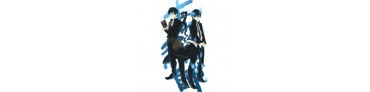 Blue Exorcist